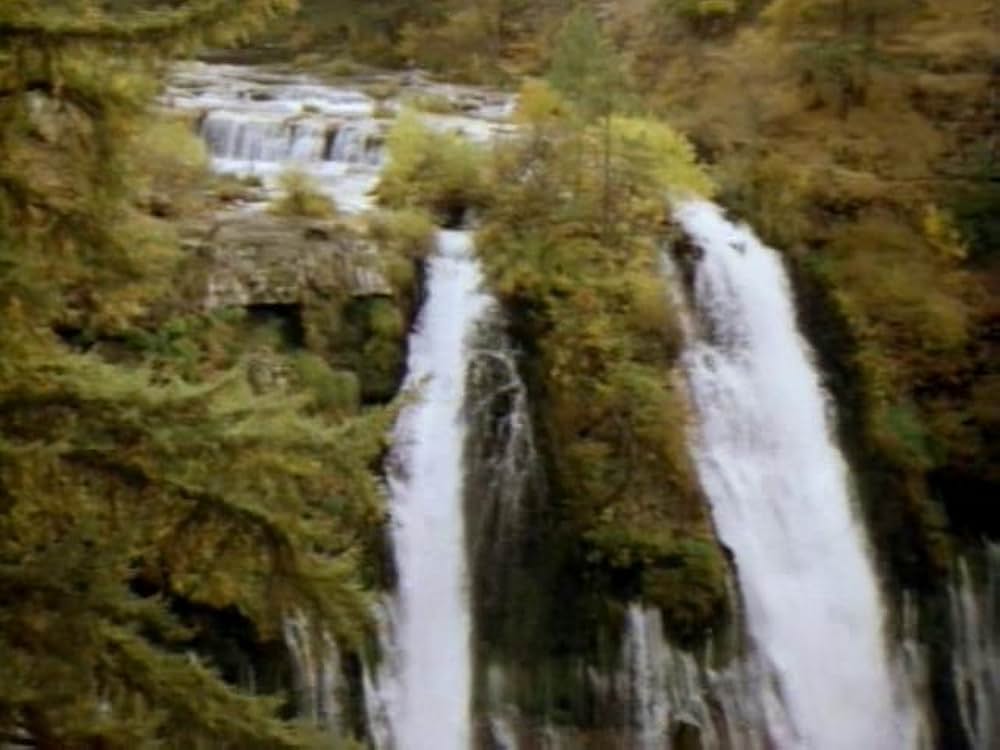 沈黙の暗殺者（テロリスト）の画像