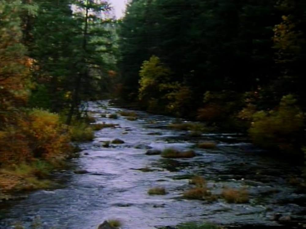 沈黙の暗殺者（テロリスト）の画像