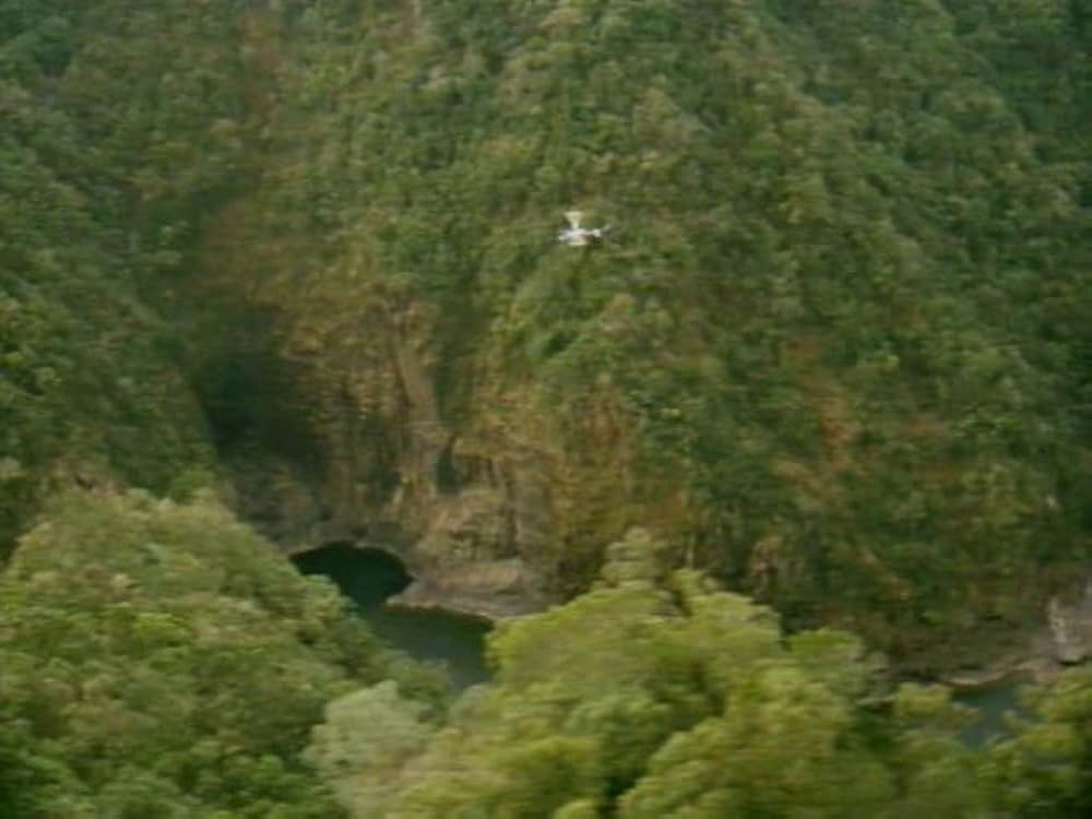 沈黙の暗殺者（テロリスト）の画像