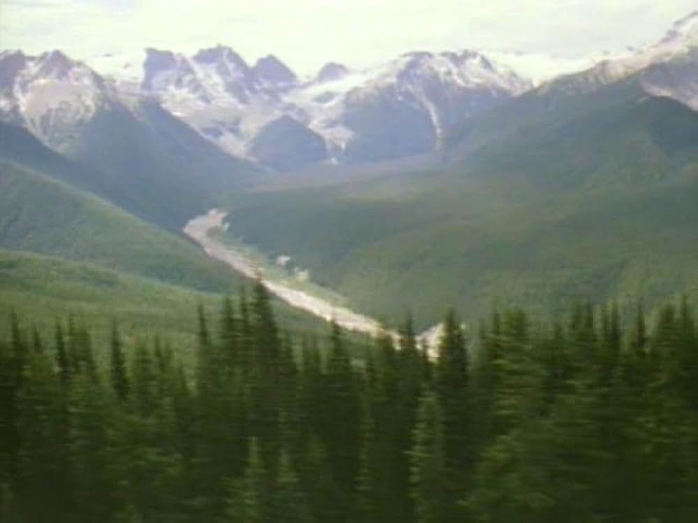 沈黙の暗殺者（テロリスト）の画像