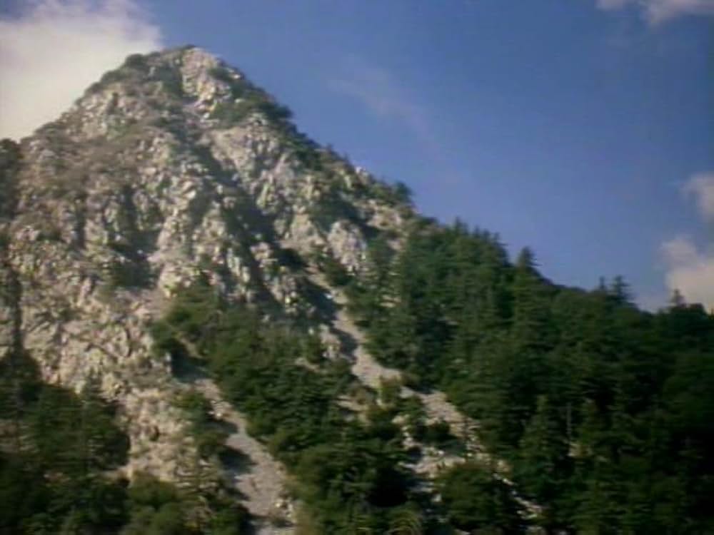 沈黙の暗殺者（テロリスト）の画像