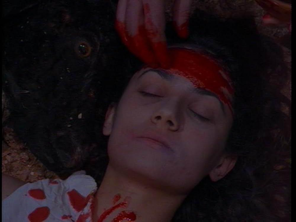 ブードゥー／血に飢えた学園の画像