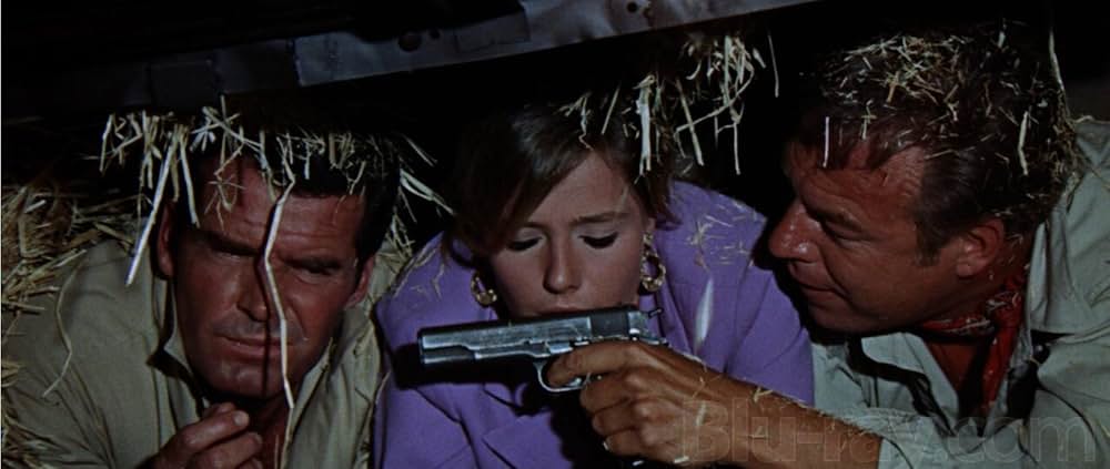 ダイヤモンド強奪作戦の画像