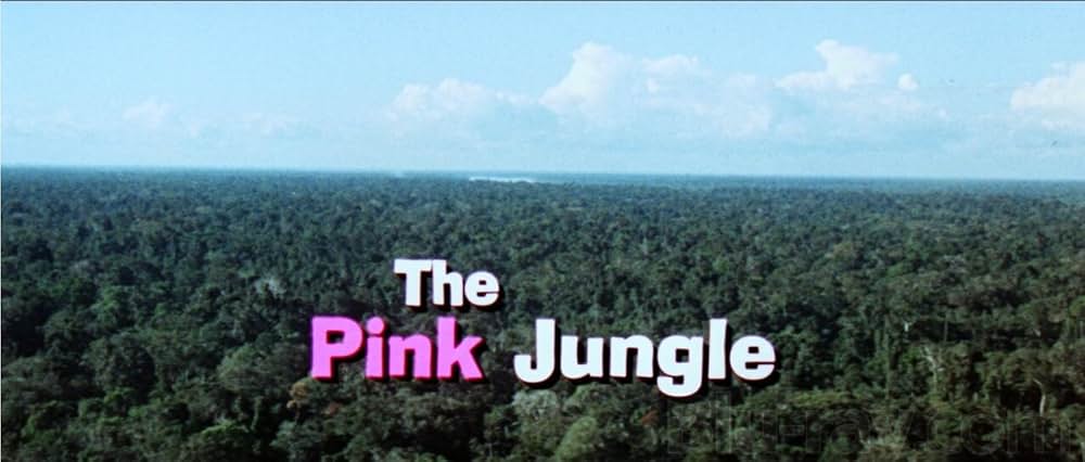 ダイヤモンド強奪作戦の画像