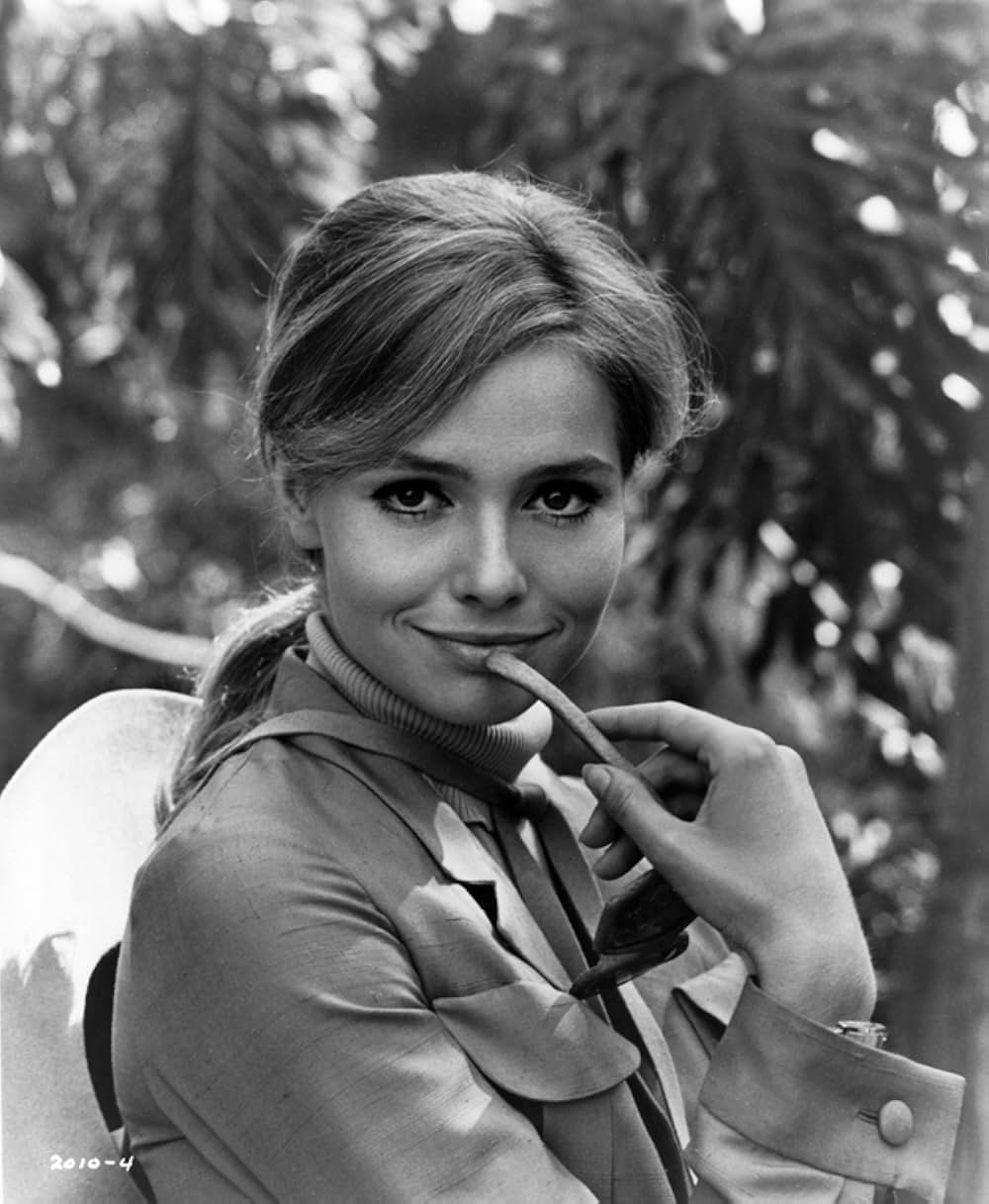 ダイヤモンド強奪作戦の画像