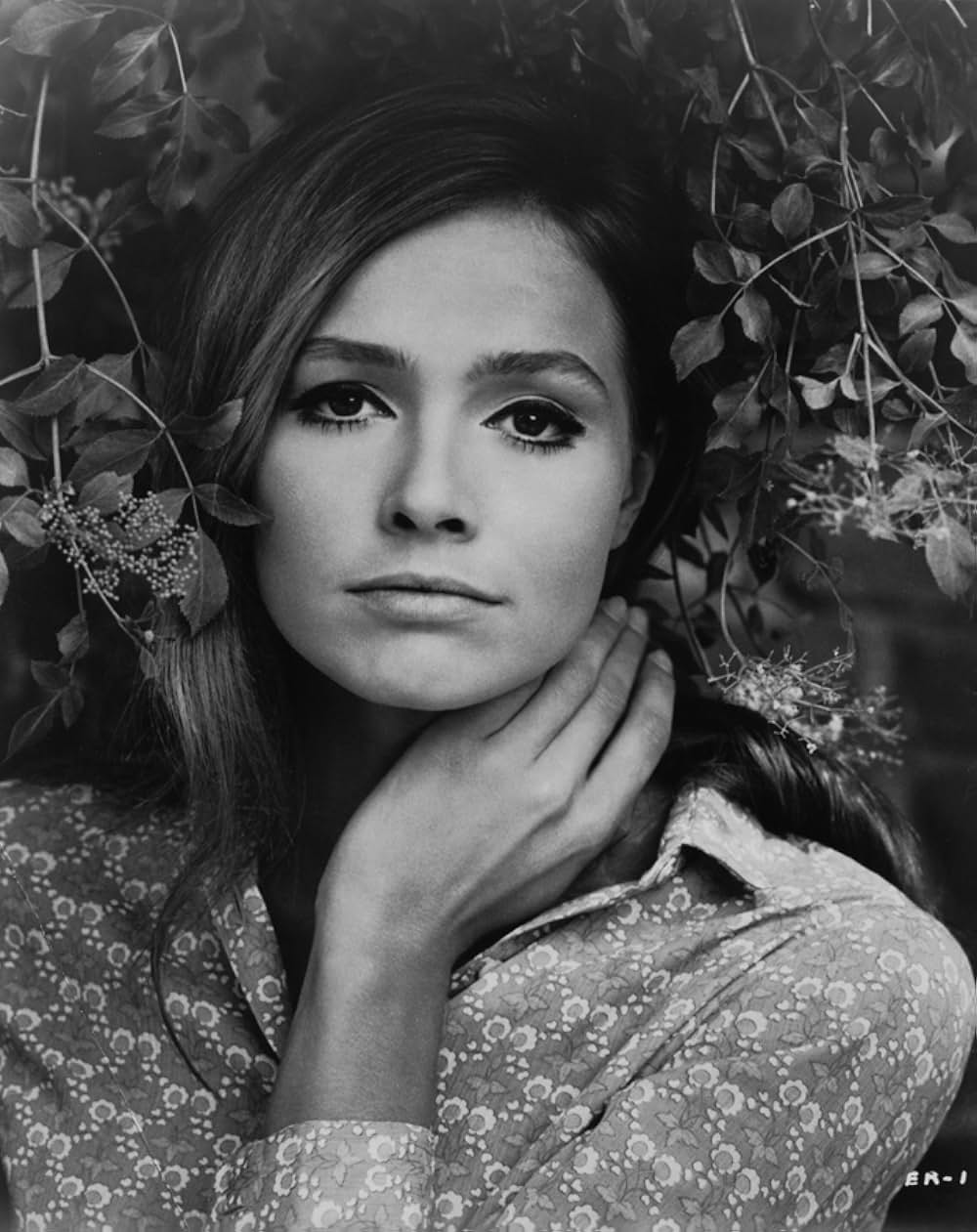 ダイヤモンド強奪作戦の画像