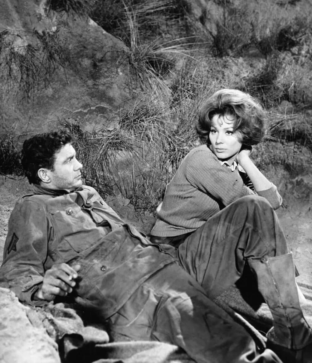 渚のたたかいの画像