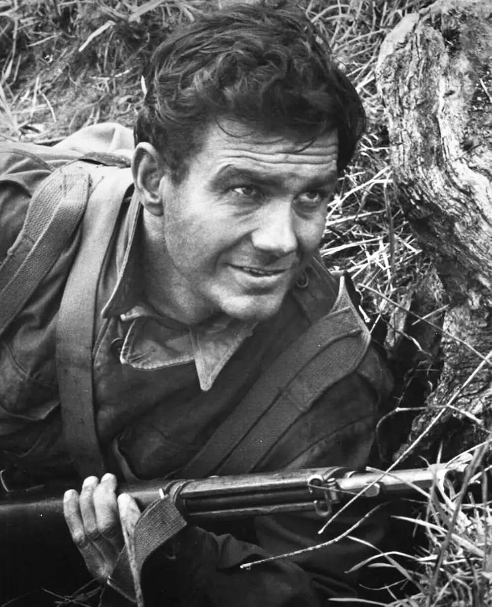 渚のたたかいの画像