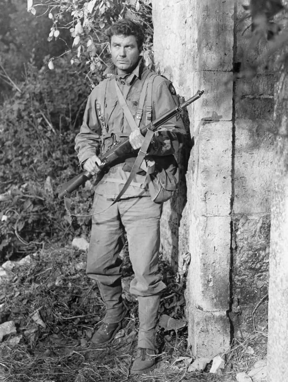 渚のたたかいの画像