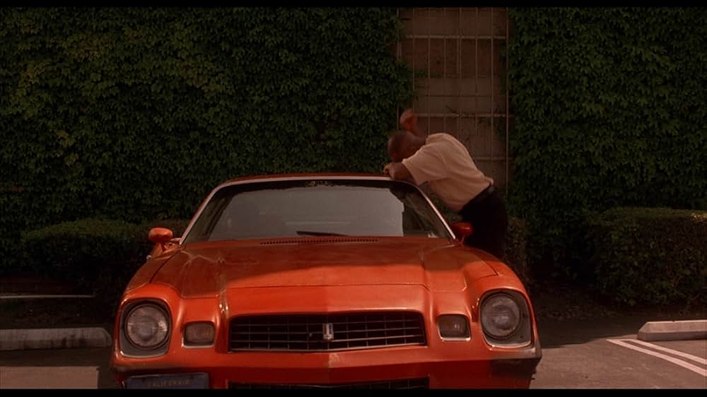 グラス・シールドの画像