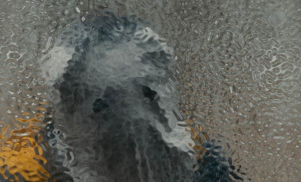 Cloud クラウドの画像