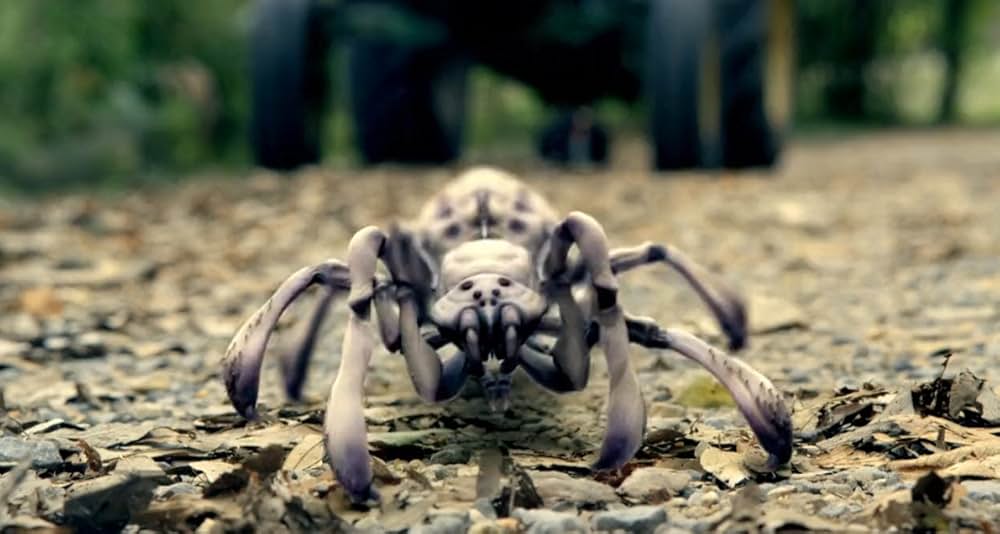 スパイダー・シティの画像