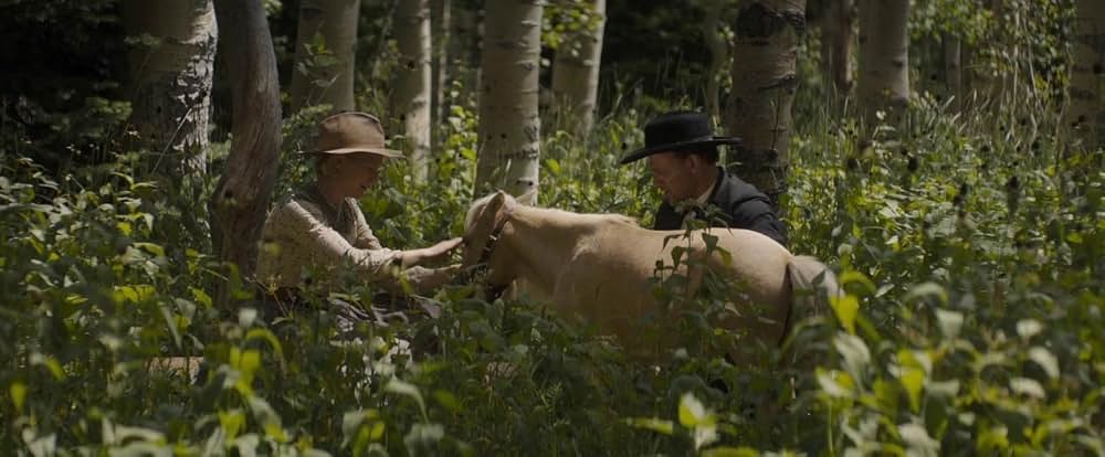 ダムゼル とらわれのお嬢さんの画像