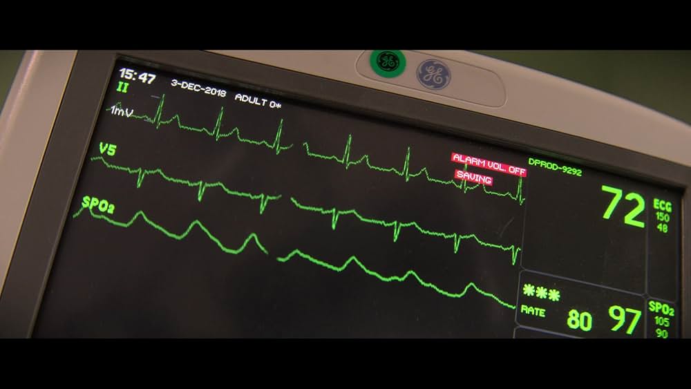 ラトルスネークの画像