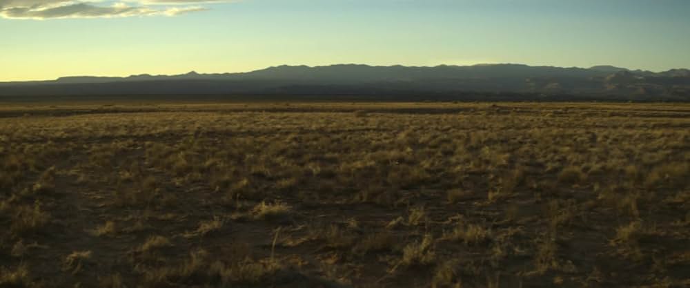 ラトルスネークの画像