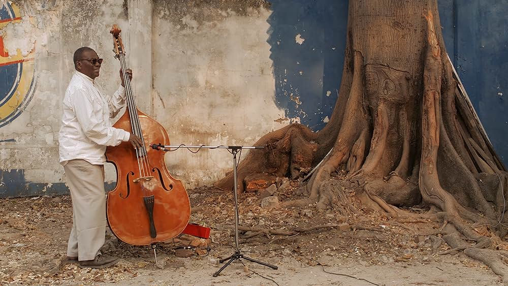 ルンバ・キングズの画像