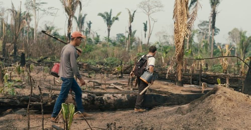 テリトリー アマゾンの攻防の画像