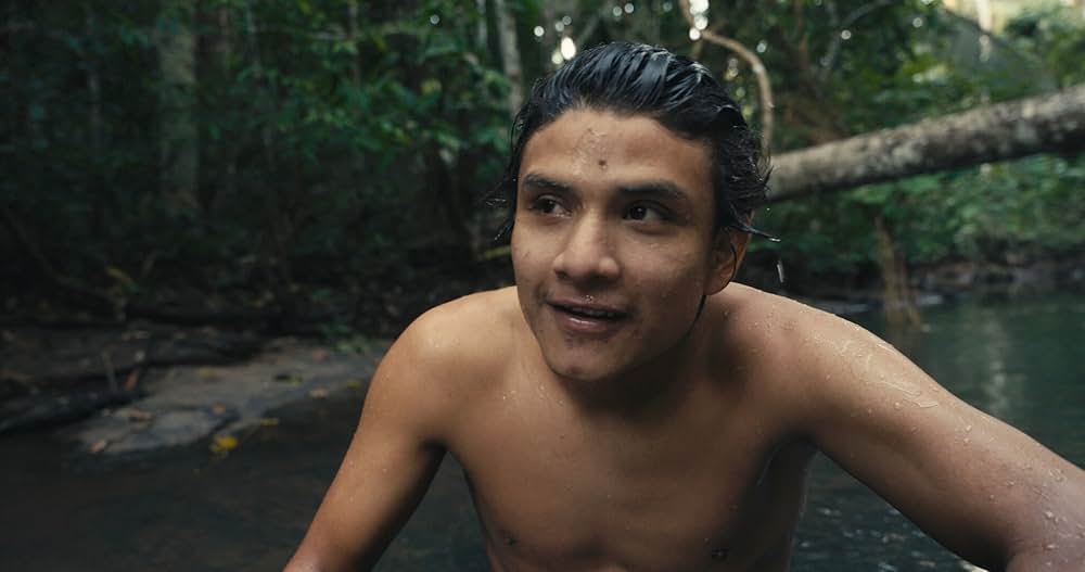 テリトリー アマゾンの攻防の画像