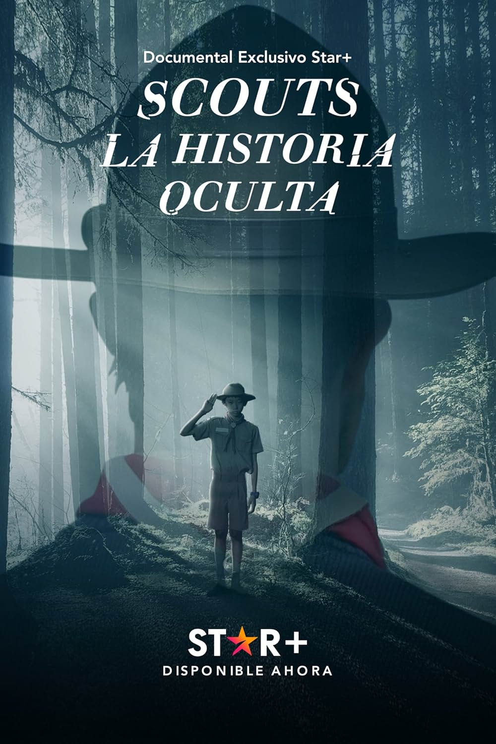 アメリカボーイスカウトの闇の画像