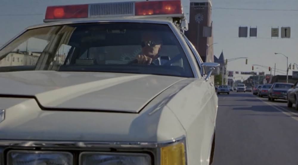 テロ・コマンド／殺戮の街の画像