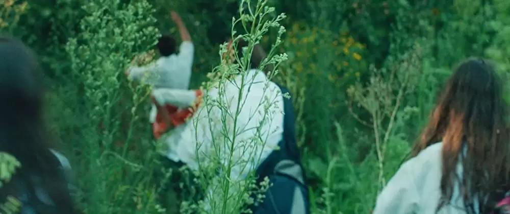 裸足の季節の画像