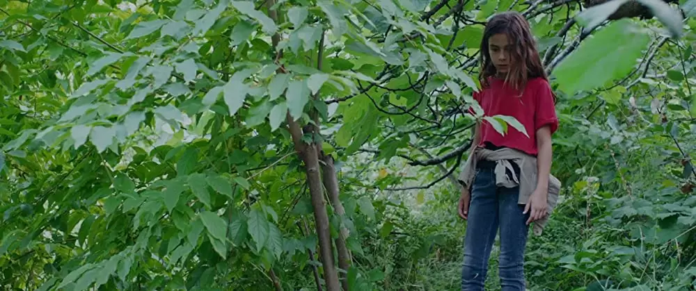 裸足の季節の画像