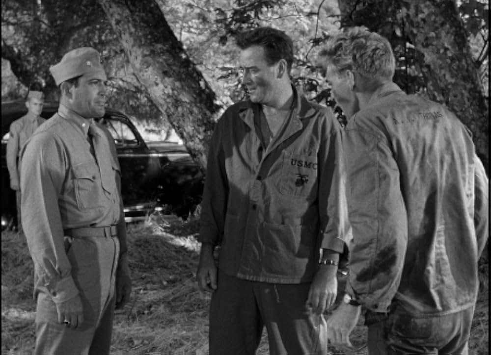 硫黄島の砂の画像