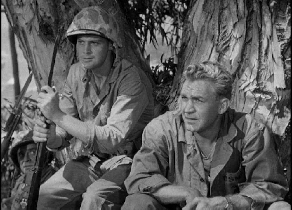 硫黄島の砂の画像