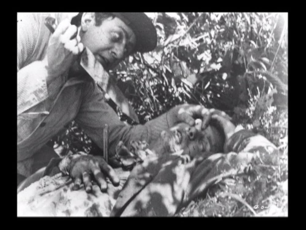 アンディ・ミリガンのガストリー・ワンズの画像