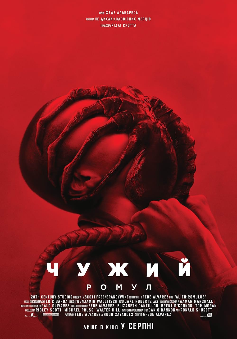 エイリアン：ロムルスの画像