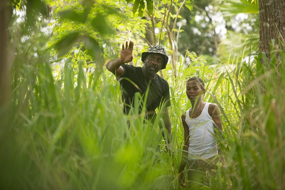 ヤーディの画像