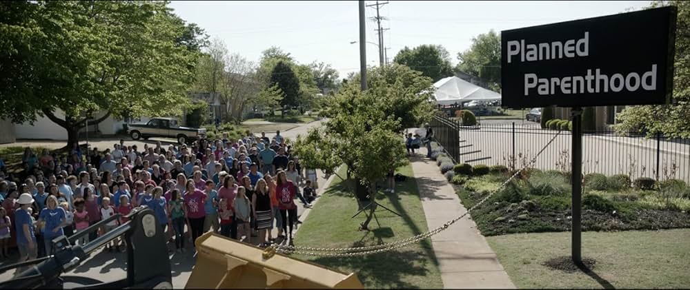 Unplanned（原題）の画像