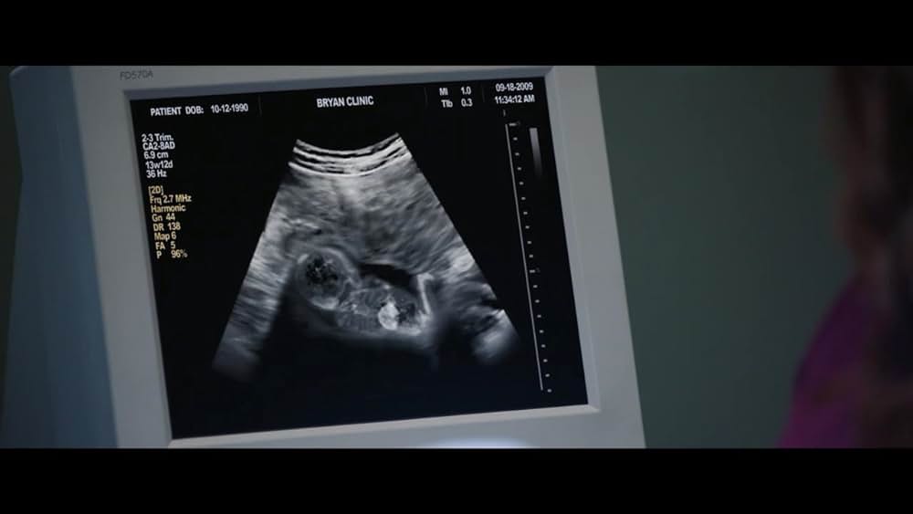 Unplanned（原題）の画像