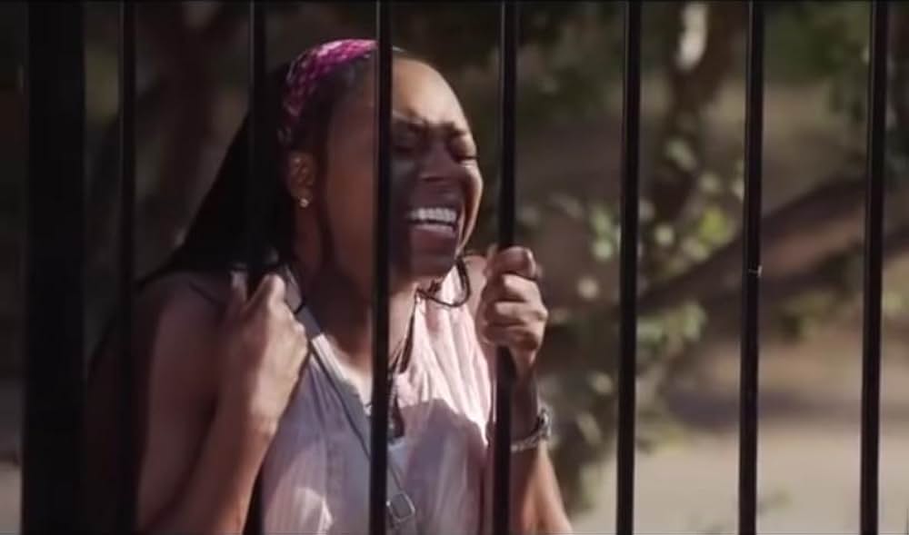 Unplanned（原題）の画像