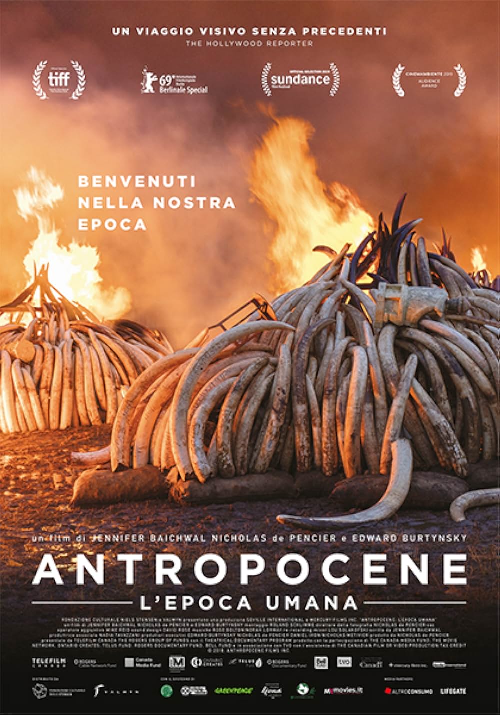 Anthropocene: The Human Epoch（原題）の画像