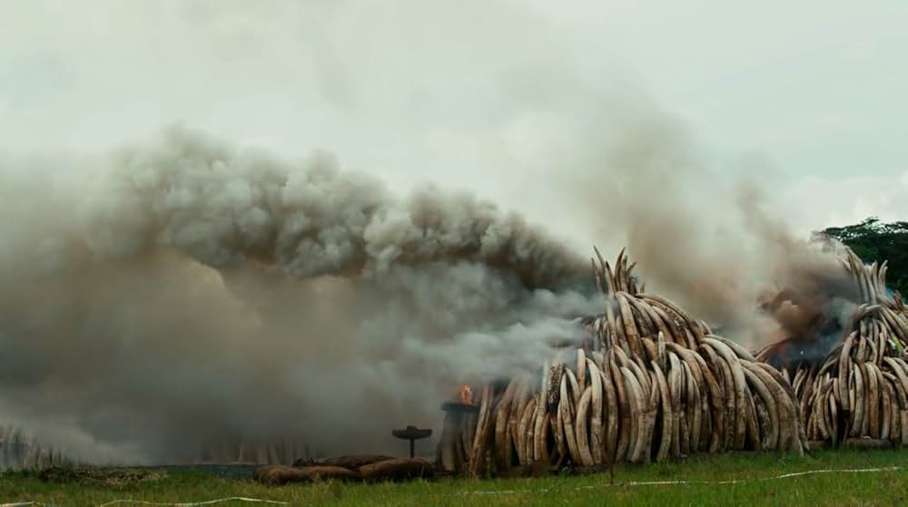 Anthropocene: The Human Epoch（原題）の画像