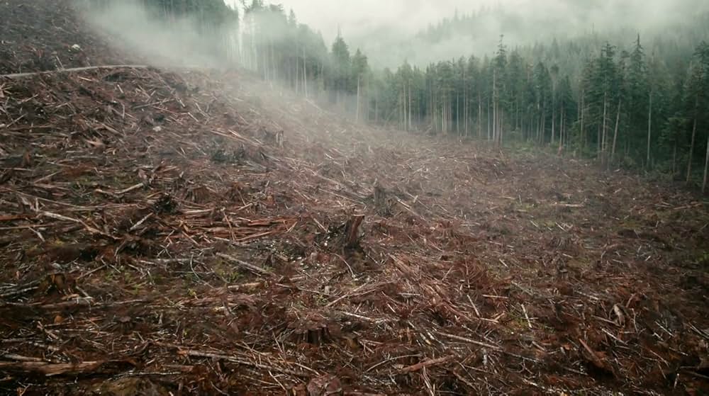 Anthropocene: The Human Epoch（原題）の画像