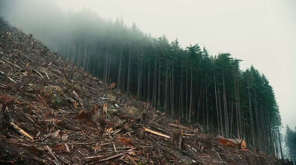 Anthropocene: The Human Epoch（原題）の画像