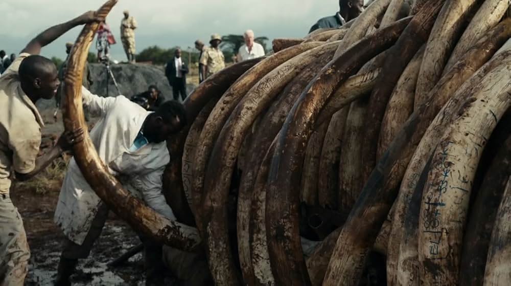 Anthropocene: The Human Epoch（原題）の画像