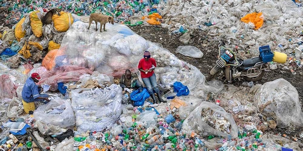 Anthropocene: The Human Epoch（原題）の画像