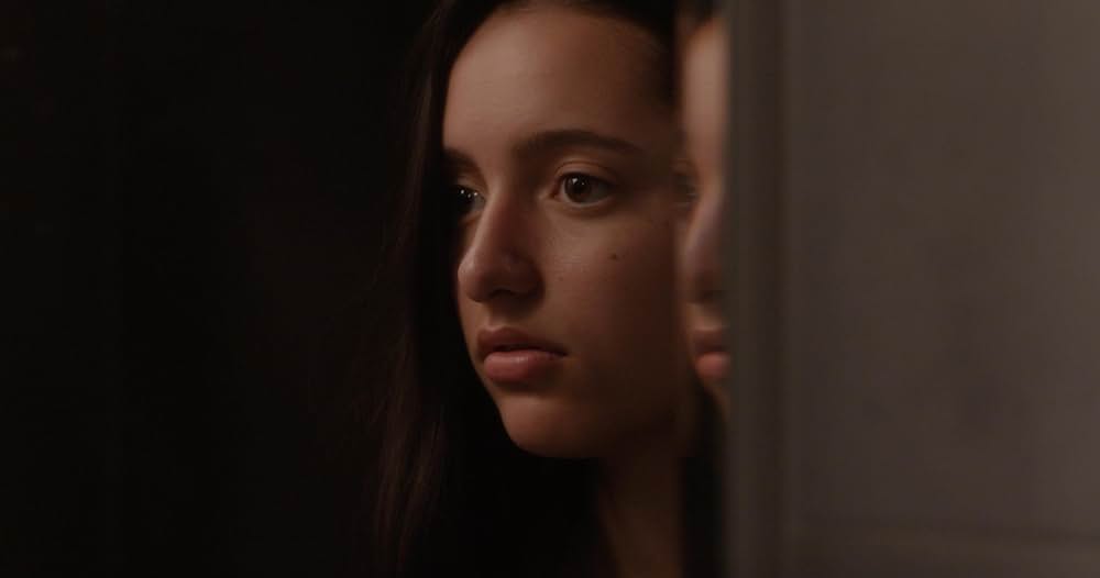 プレゼンテーションの画像