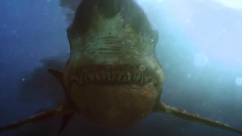 Toxic Shark（原題）の画像