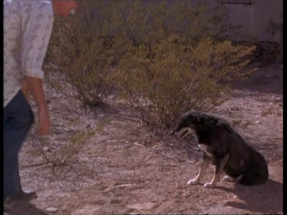 ルイス&クラーク&ジョージの画像