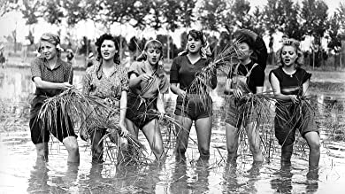 「にがい米」シルバーナ・マンガーノの画像