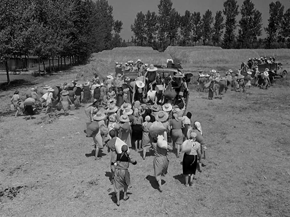 にがい米の画像