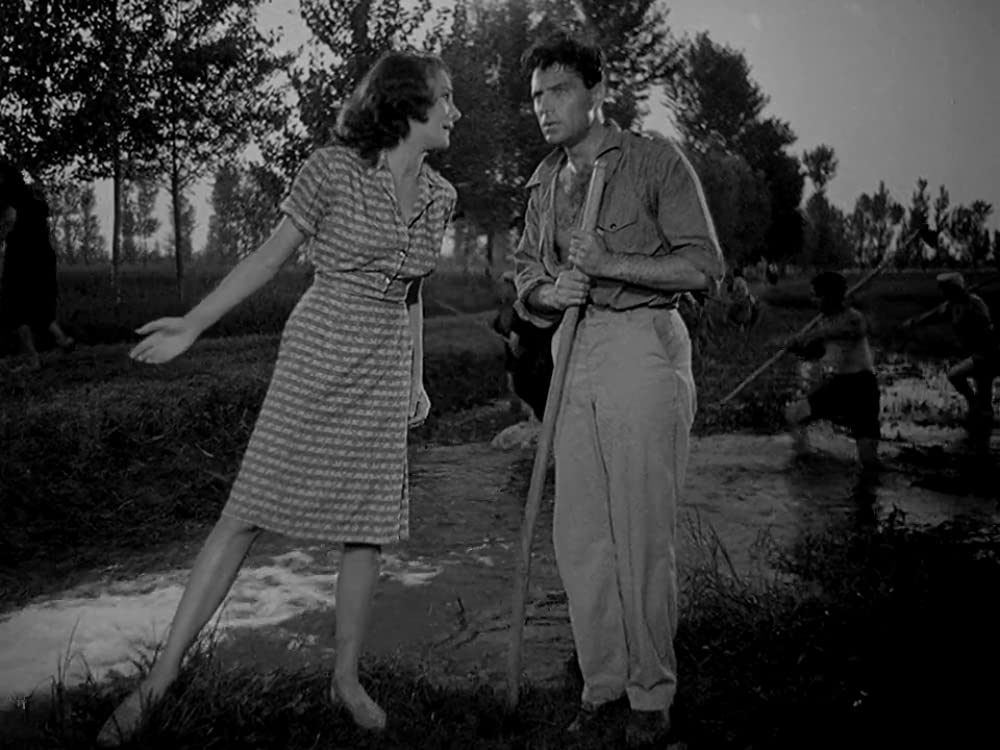 「にがい米」ドリス・ダウリング & ラフ・バローネの画像