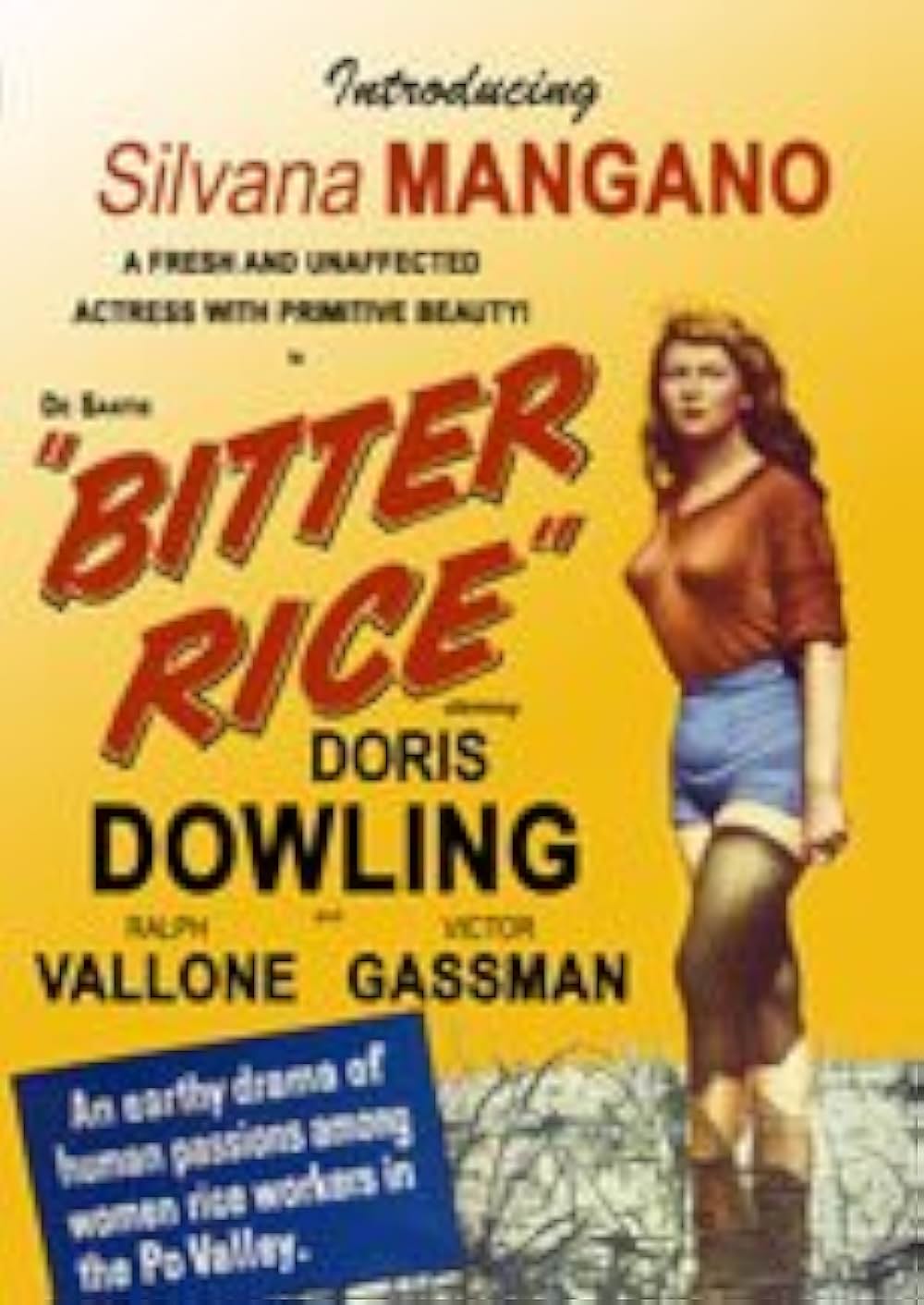 にがい米の画像