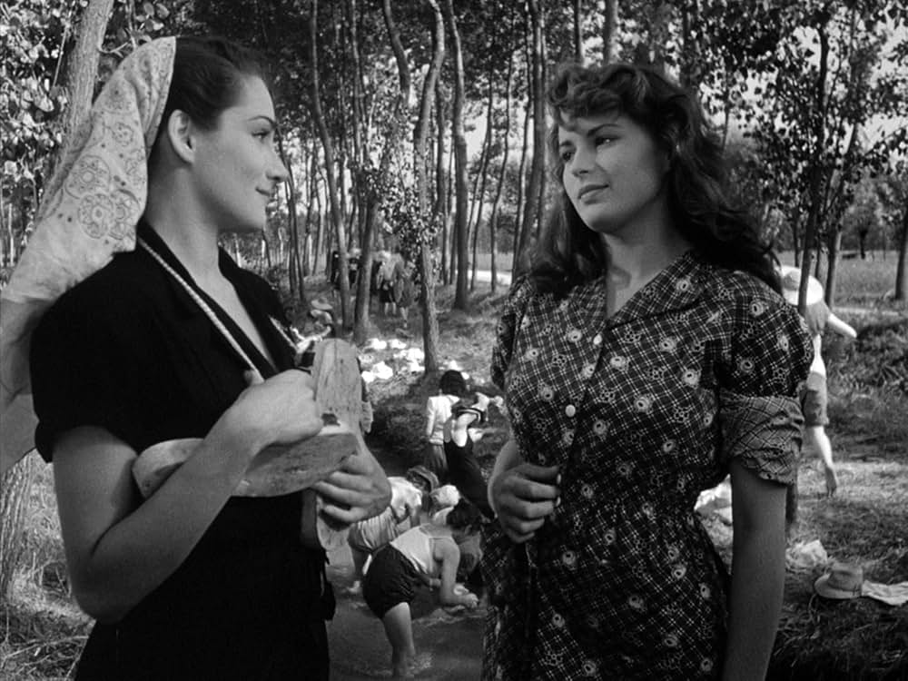 にがい米の画像