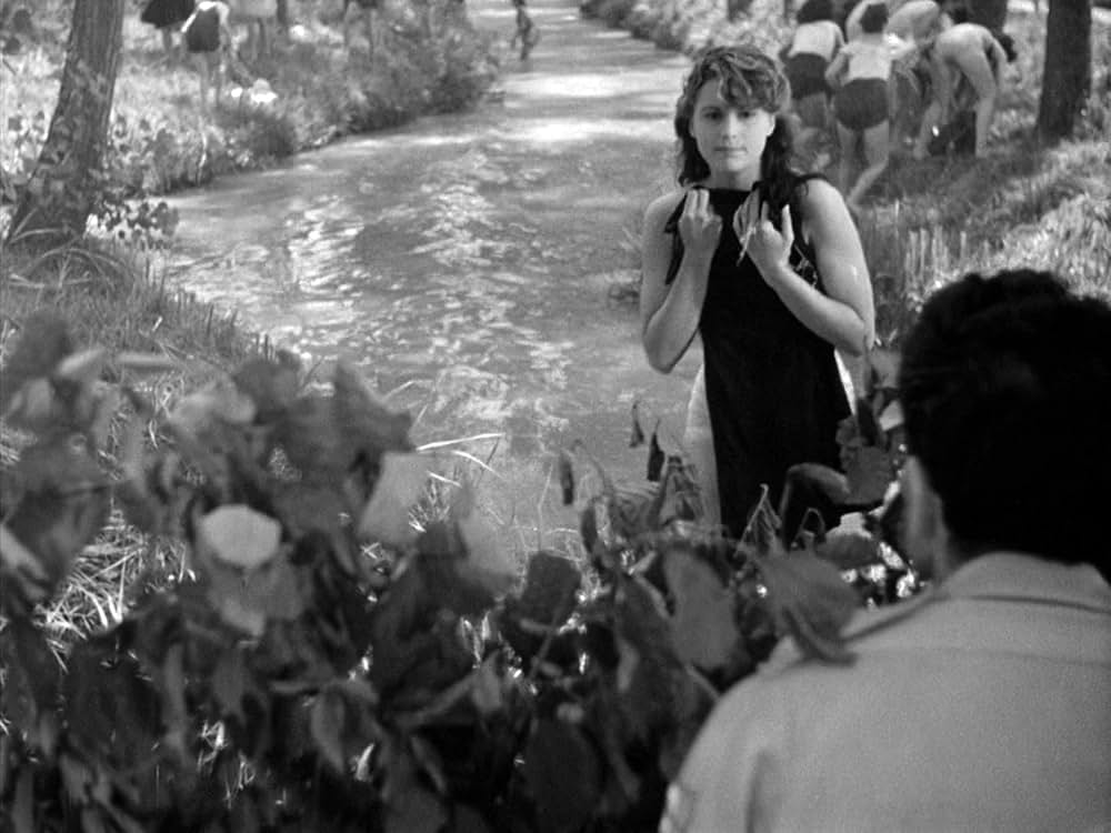 にがい米の画像