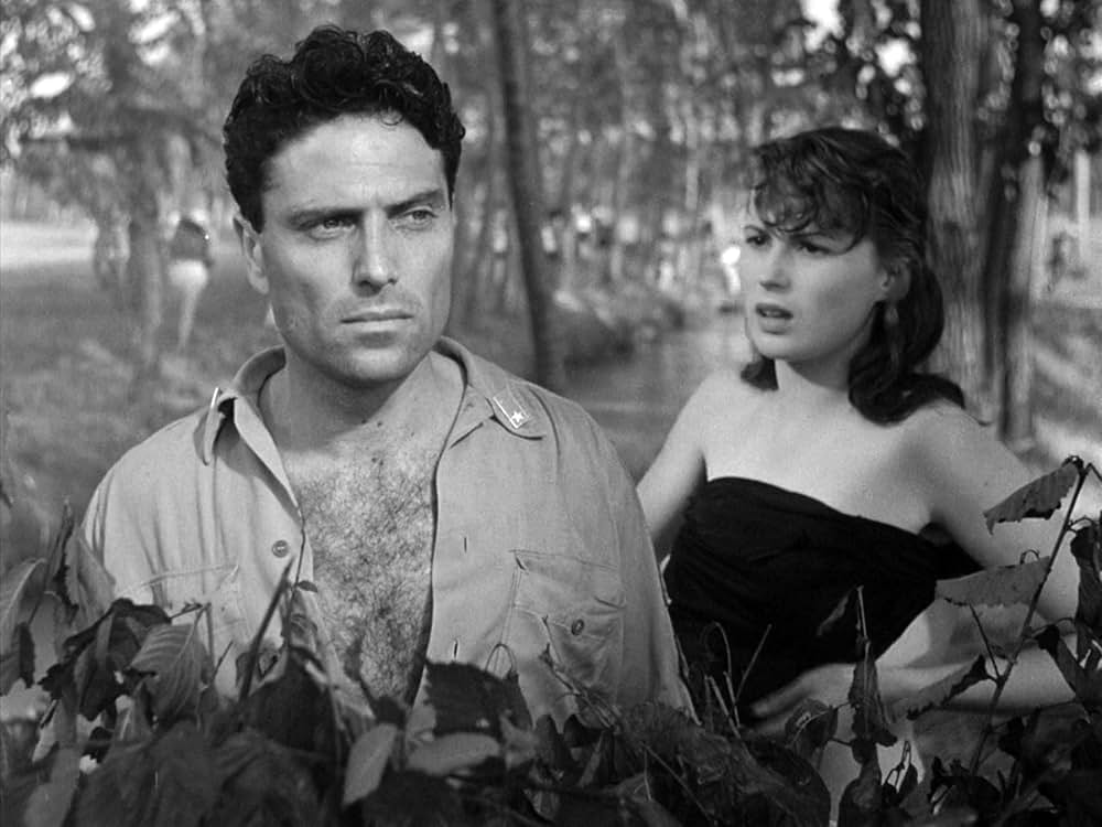 にがい米の画像